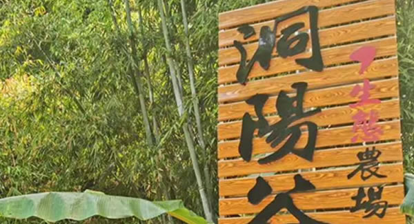 廣有合頁2019踏春拓展--經(jīng)歷中成長，成長中經(jīng)歷