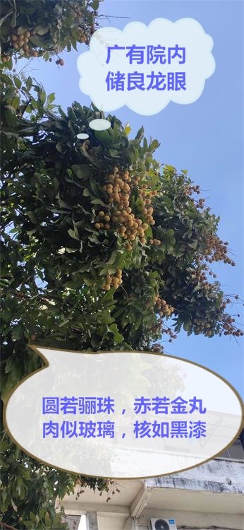 mmexport1625899689012.jpg mmexport1625899689012.jpg