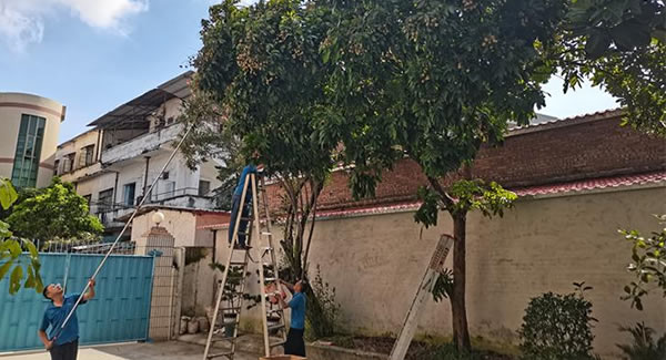 廣有儲(chǔ)良龍眼，詮釋濃情盛夏|廣有五金&東莞合頁