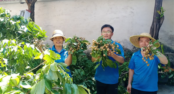 摘一顆龍眼，品一份團(tuán)圓，謝一次饋贈 | 廣有五金&東莞合頁?